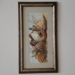 Beach Sea Shells Framed Wall Art